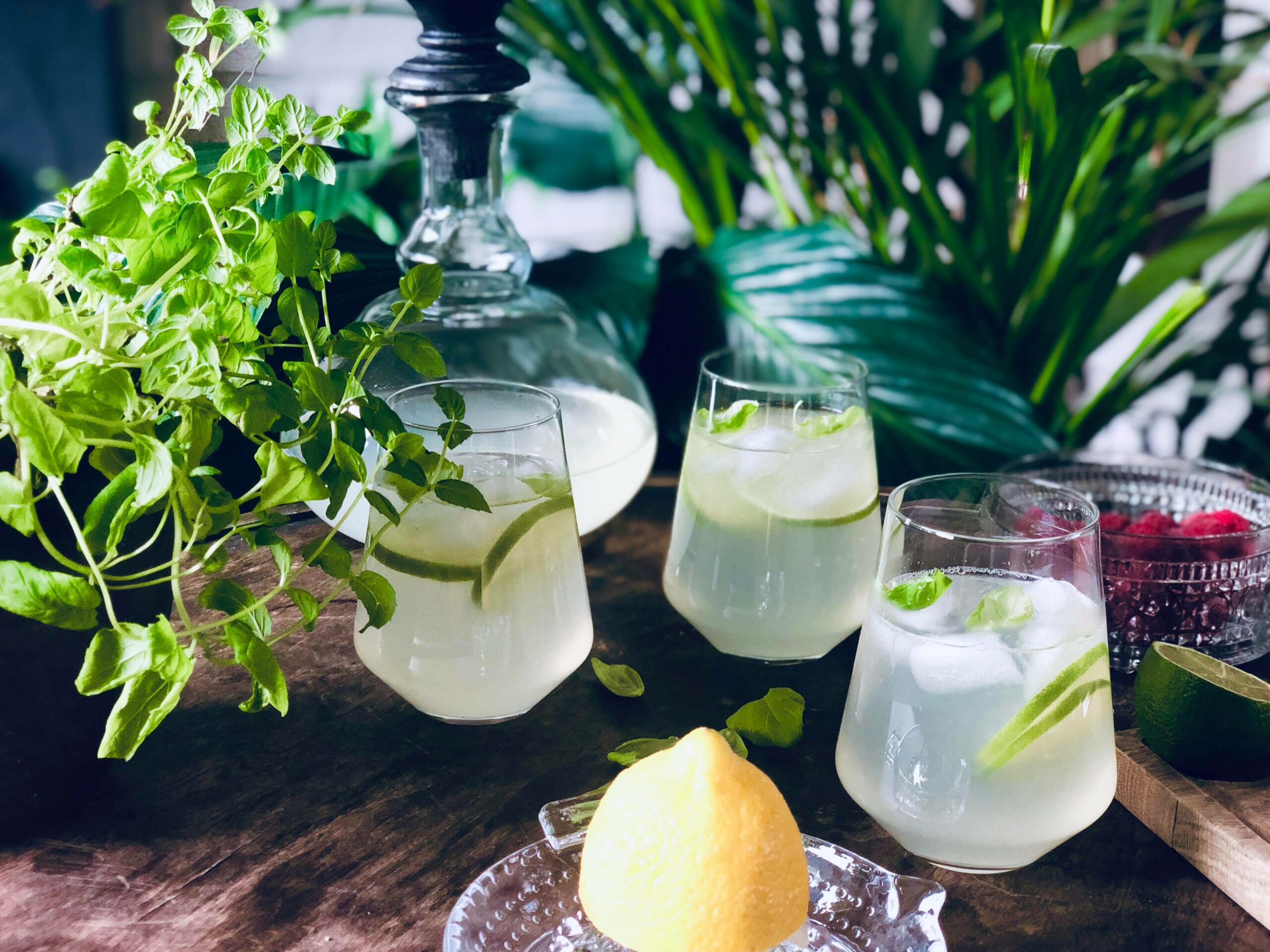 Sommerlig lemonade