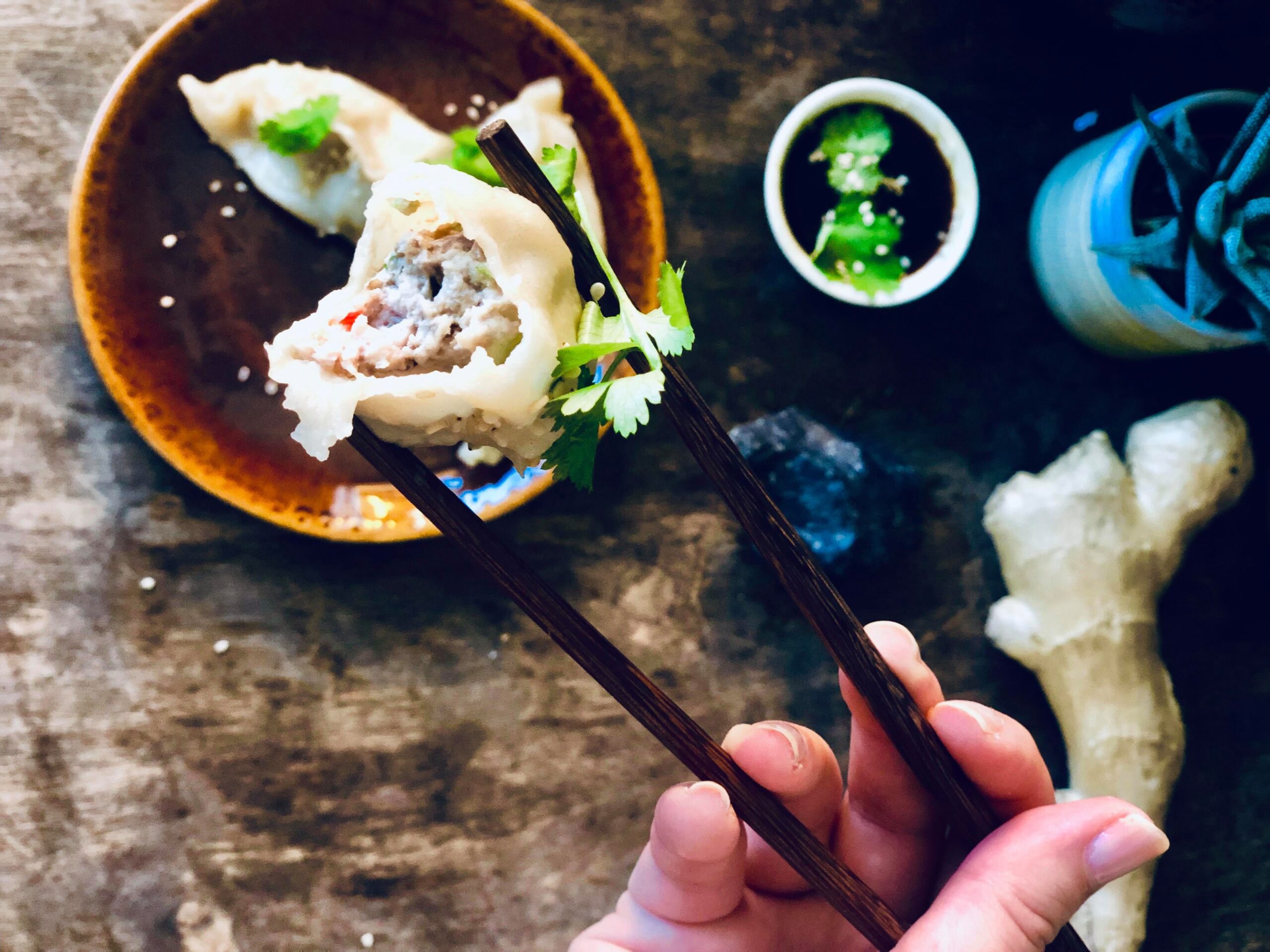 Kjempegode dumplings